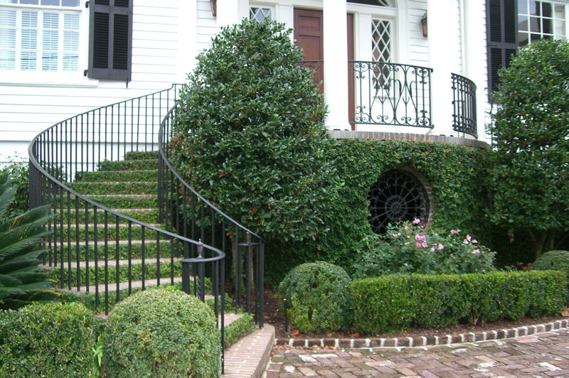 Beautiful vines adoring front entrance of home in Charleston, SC