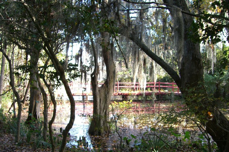 Magnolia Plantation, Charleston, SC