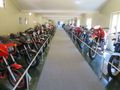 Rows and rows of bikes
