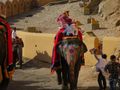 Elephants carry people up to the fort. We walked