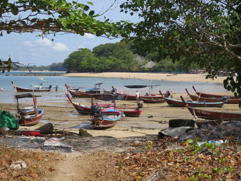 Fishing boats grounded in the esturay