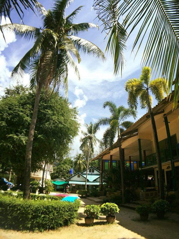 The gardens of our guest house