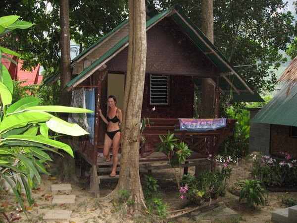 Our Jungle Like-home for the Night