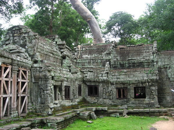 Ruins at Ta Prohm