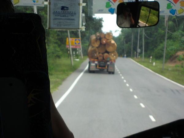 Logging Lorry Making  Life Go at a  Slow  Pace