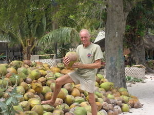 Coconut Island! 