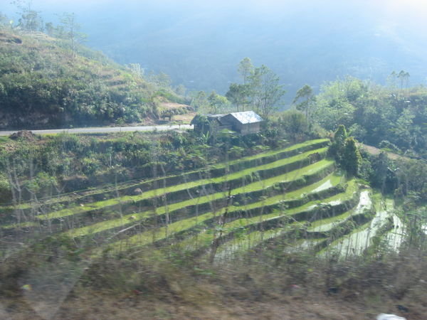 Rice Paddies Can be Seen Along Most of the 400km Road to Luabanjabo