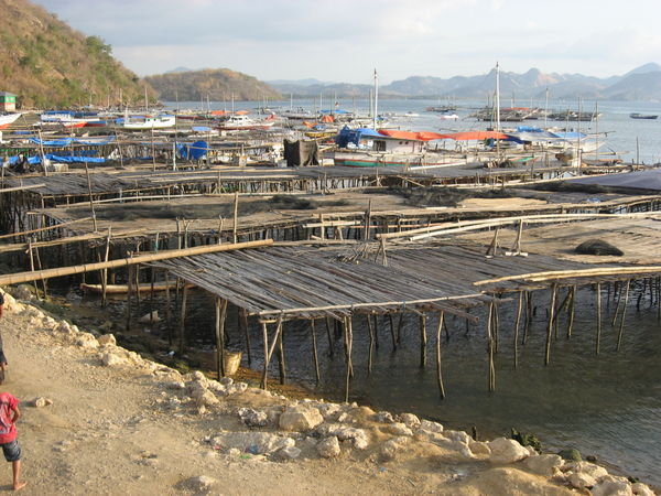 Bamboo Structures Where the Fishing boats Unloaded Their Catch