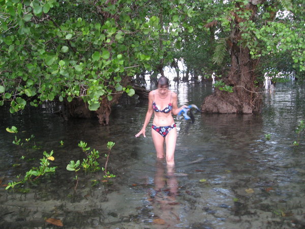 Coming through the Mangroves after a snorkel