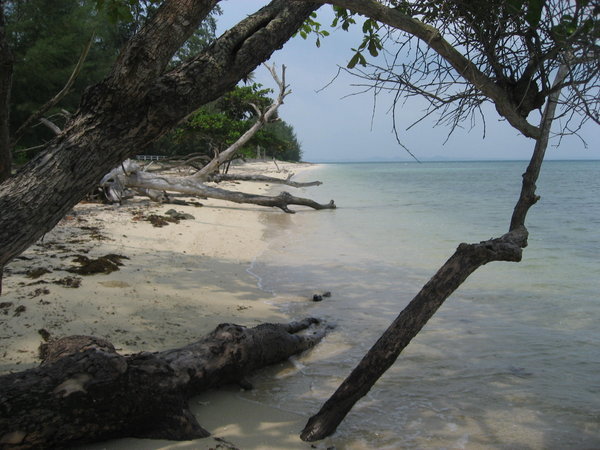 The Beach where they filmed 'Survivor'