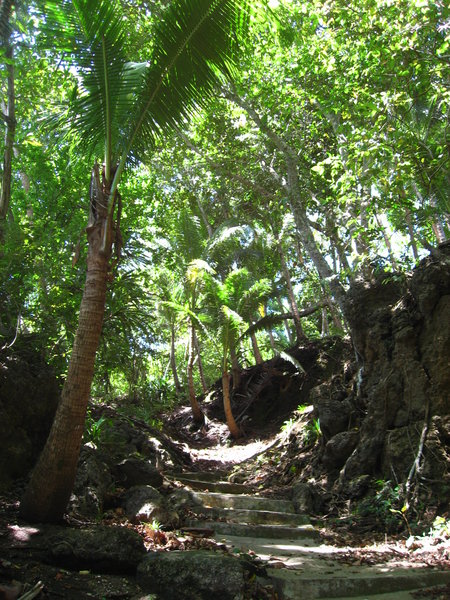 Shady Path Over The Island