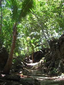 Shady Path Over The Island