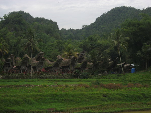 Traditional Torajan Village