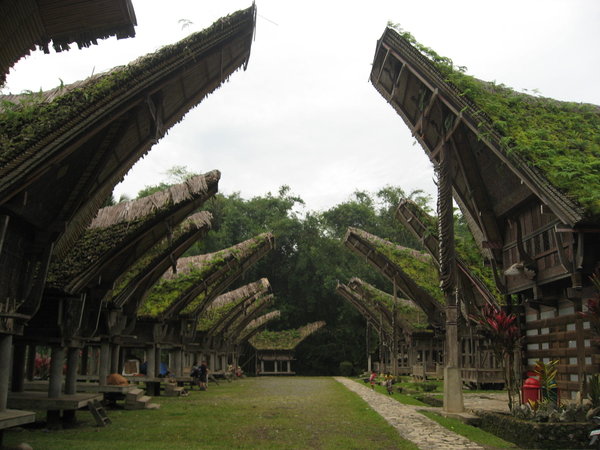 Traditional Torajan Village