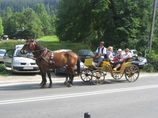 Typical mode of transport