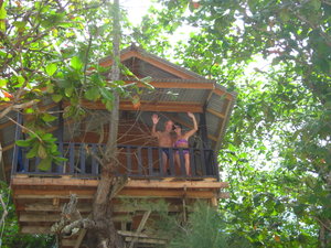 Visiting the Tree House