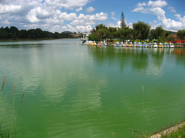 The Town's Lake