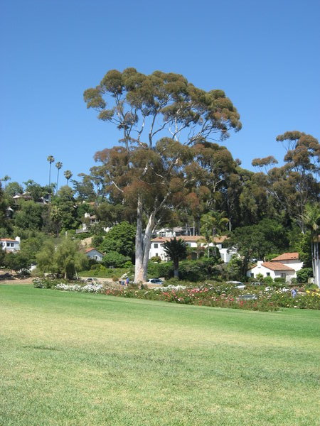 Gardens at the Mission