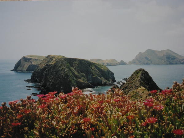 Anacappa Island