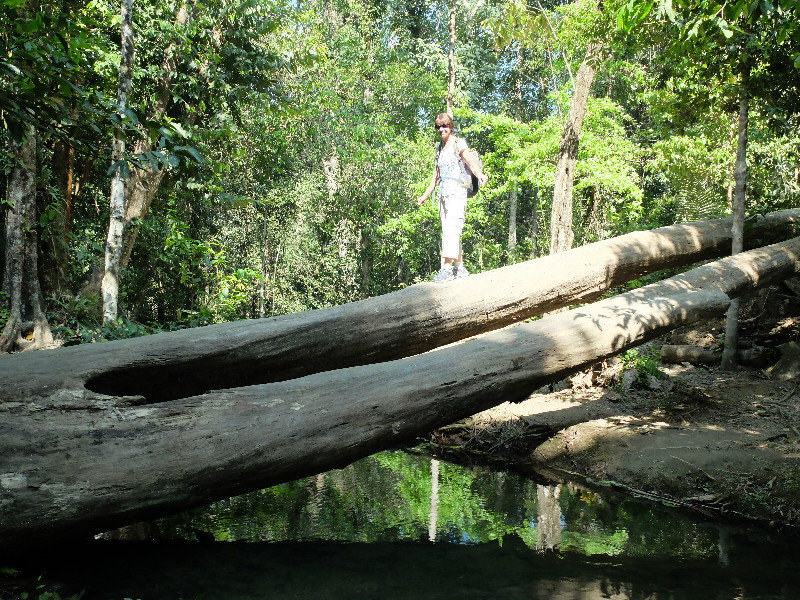 Balancing on a log bridge
