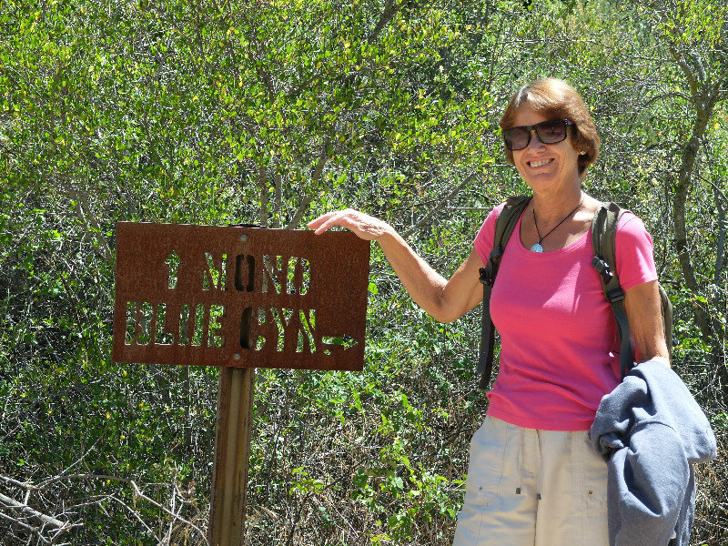 Start of the Mono trail and the Blue Canyon trail