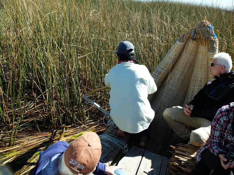 Harvesting the reeds
