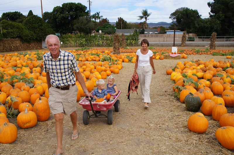Taking the pumpkins to the till