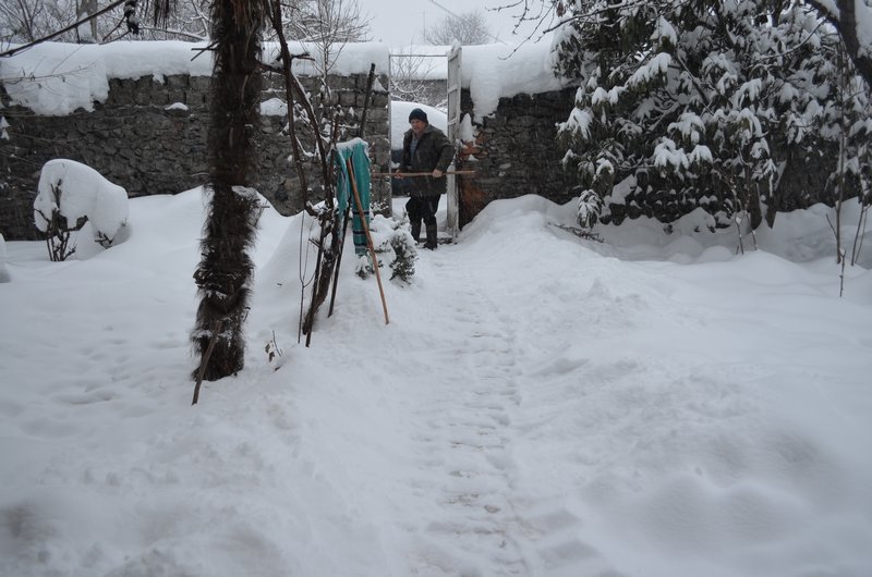 Shovelling the snow
