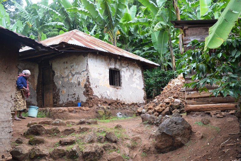 Marangu Village 