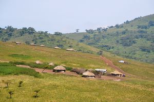 Maasai huts 