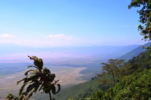 Ngorongro Crater 