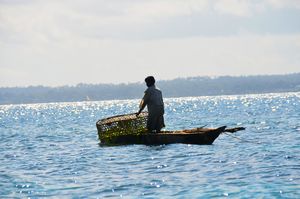 Fishing off Zanzibar