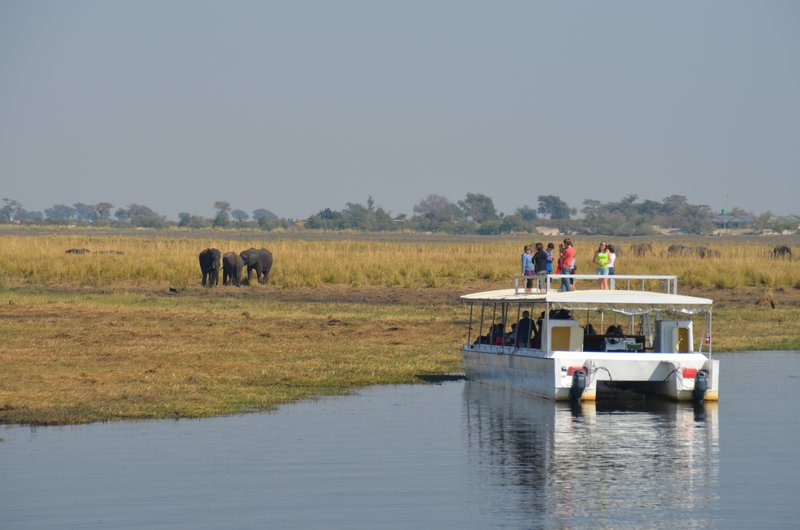 River cruise down Chobe 
