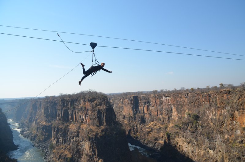 Flying fox over the gauge at Victoria Falls