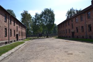 Blocks at Auschwitz
