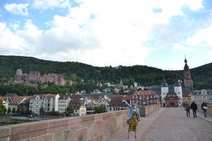 The Old Town of Heidelberg
