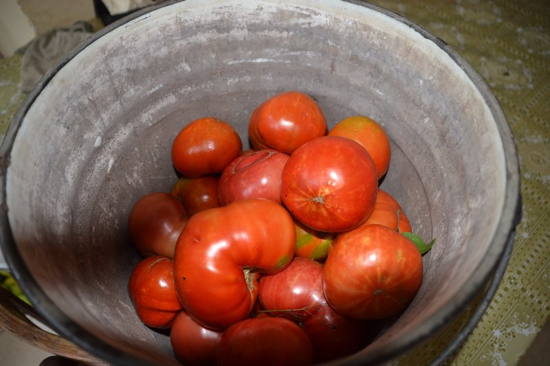 The most delicious tomatoes I have ever eaten