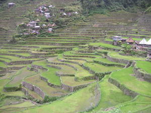Rice terraces, Batad