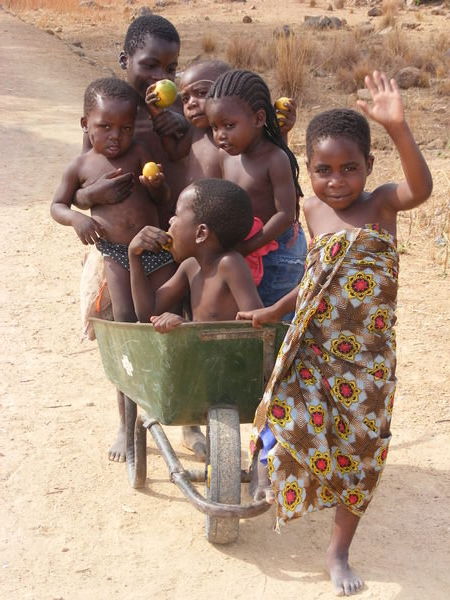 How many Malawian urchins can you fit in a wheel barrow?