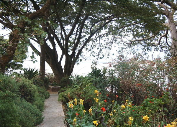 Gardens at the Ghion, Bahar Dar