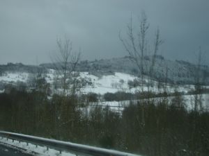 Snow (8)