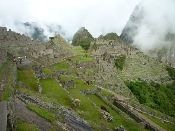 Machu Picchu just coming out of the clouds