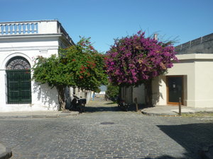 A street in Colonia
