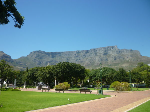 Table Mountain from the Botanical Gardens