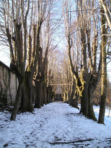 Wintery castle walkway