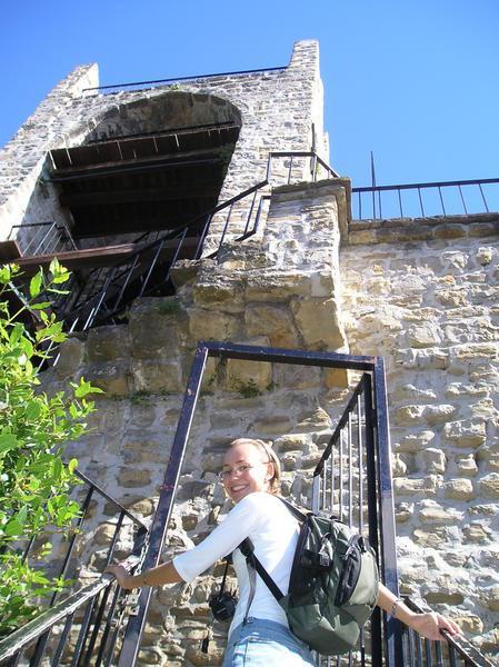 Sylvia climbing trecherous stair case