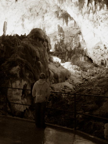 Postojnska Jama (Postojna Cave)