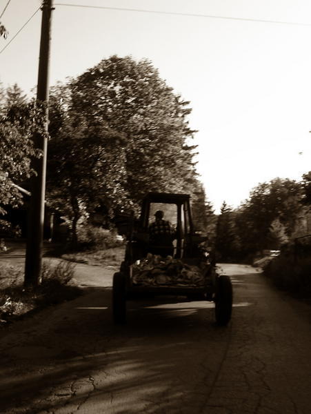 Tractor man in Postojna