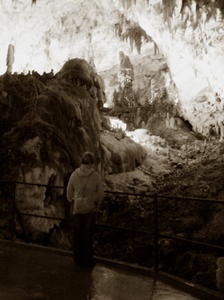 Postojnska Jama (Postojna Cave)