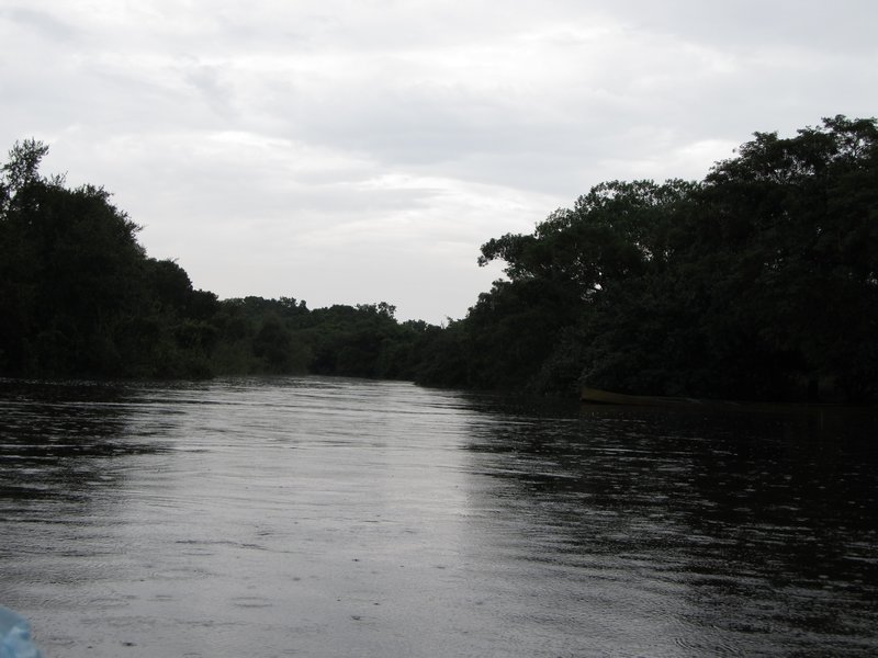 The Beni River